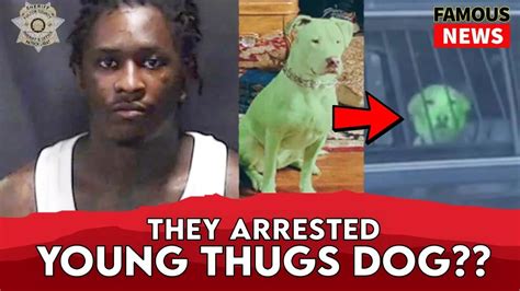 ysl arrested dog|Young Thug Arrested, Gunna And More Indicted On RICO .